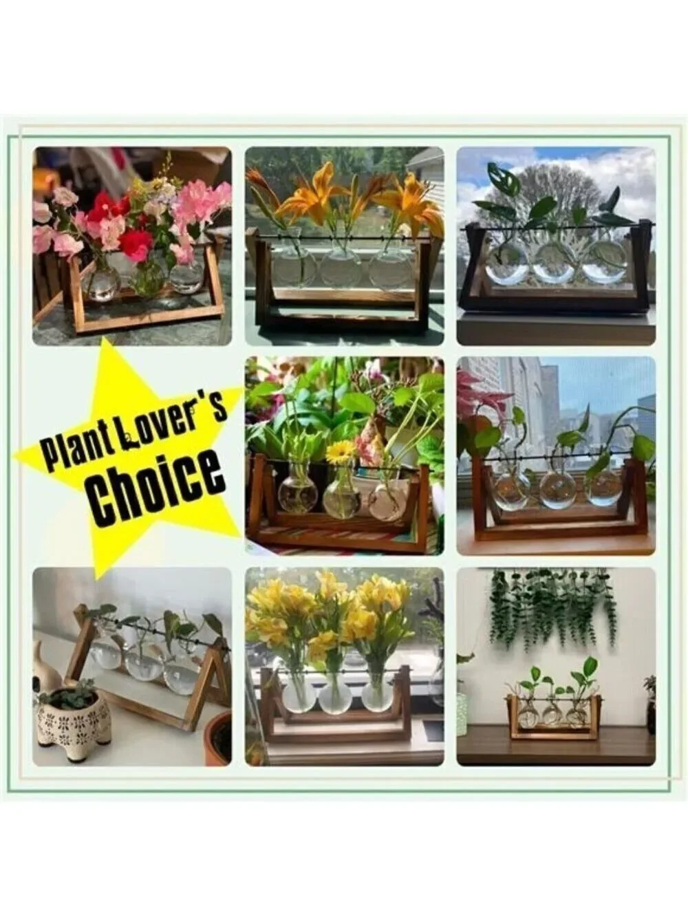 Plant Terrarium Wooden Stand,Air Planter Bulb Glass Vase Tabletop Home Garden